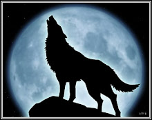 Lobo de Luna
