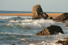 Rocas, arena y mar de los cántabros