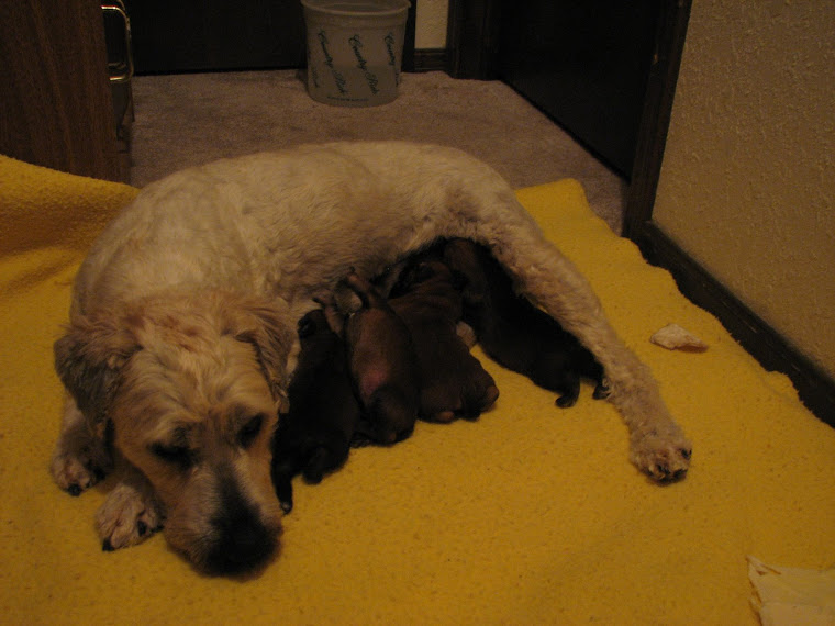 Stella with babies