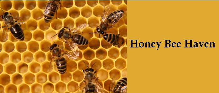 Honey Bee Haven