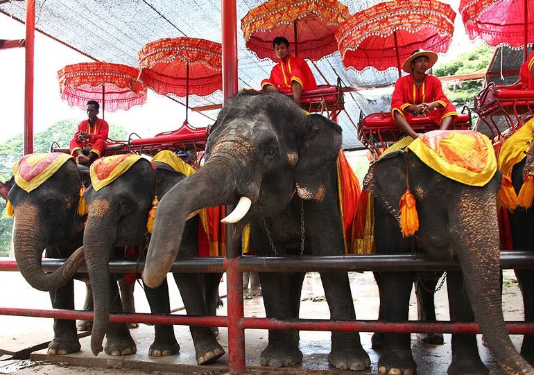 Ayutthaya City Elephant Kraal Pavilion, Ayutthaya