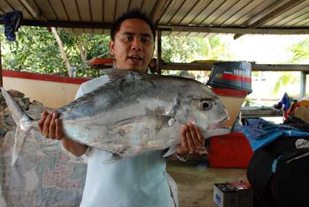 [tawih@8.2_resize.JPG]