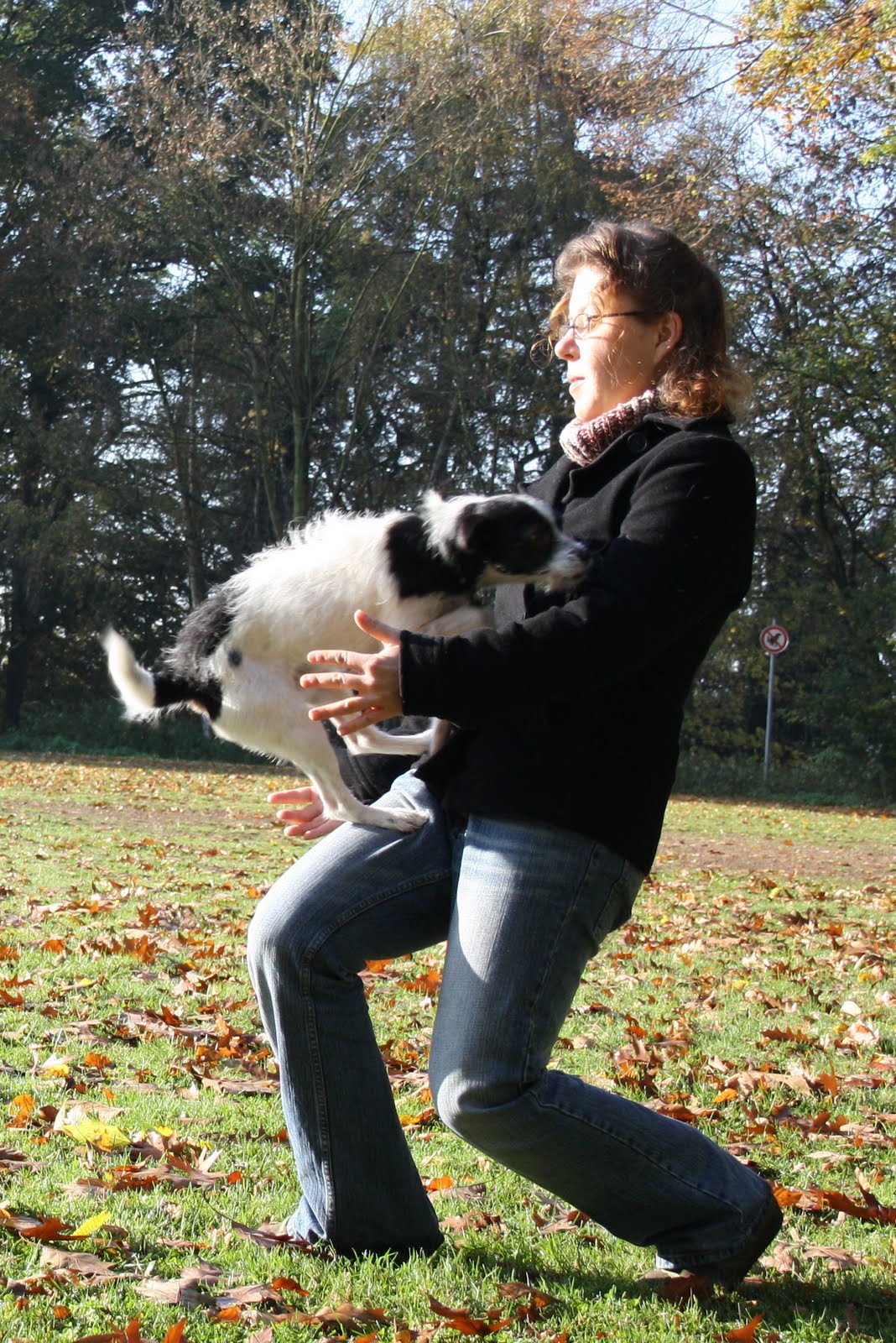 tiertrainingleipzig Wie bringe ich meinem Hund bei, mir auf den Arm