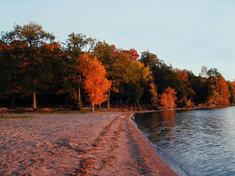 Orillia Travel Bass Lake Provincial Park