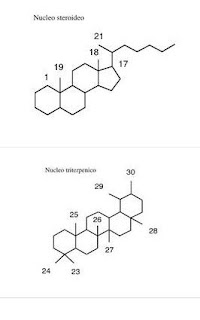 Peccati di Jintropin (Somatropin) 10 IU Gene Science Pharmaceuticals