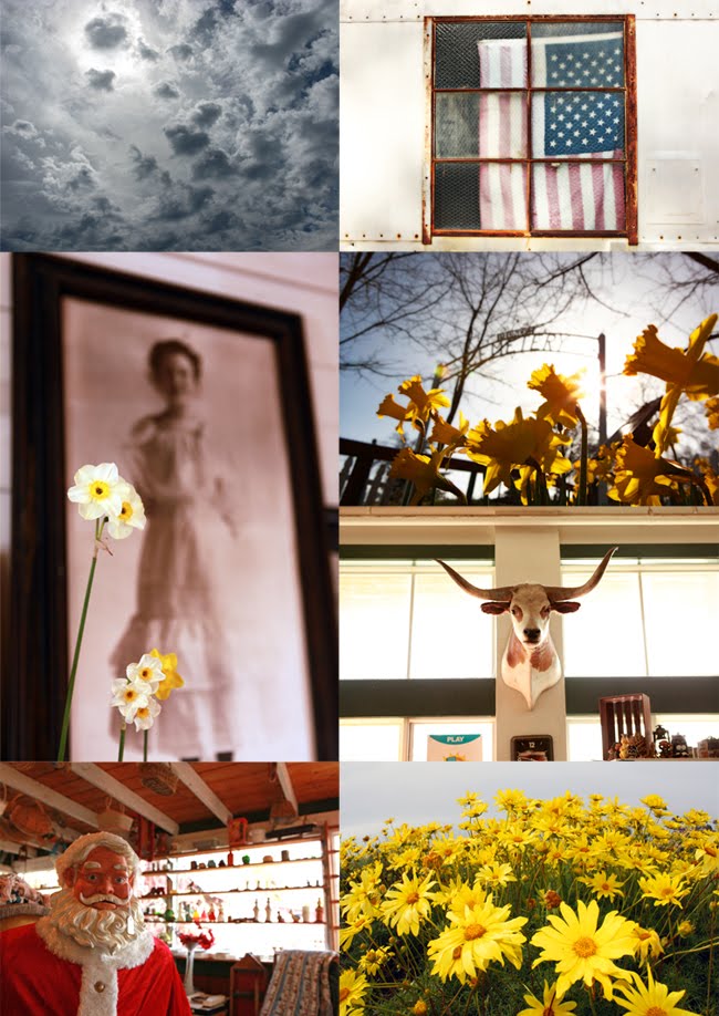 James Maciariello Photography Daffodils are in bloom in Julian...