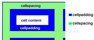 Cellspacing Vs Cellpadding Table Attributes Comparison