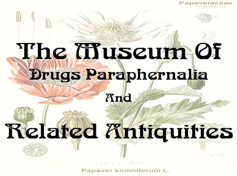Museum Of Drugs