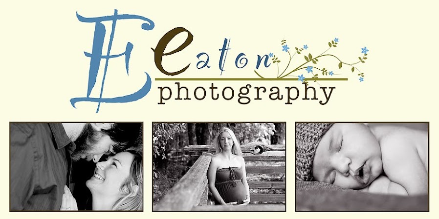 Elisabeth Eaton Photography