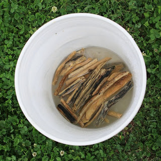 How to clean driftwood: I always pick some up at the beach but never knew how to clean it properly. Definitely saving this one for the summer!