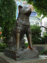 The statue of Hachiko in Shibuya