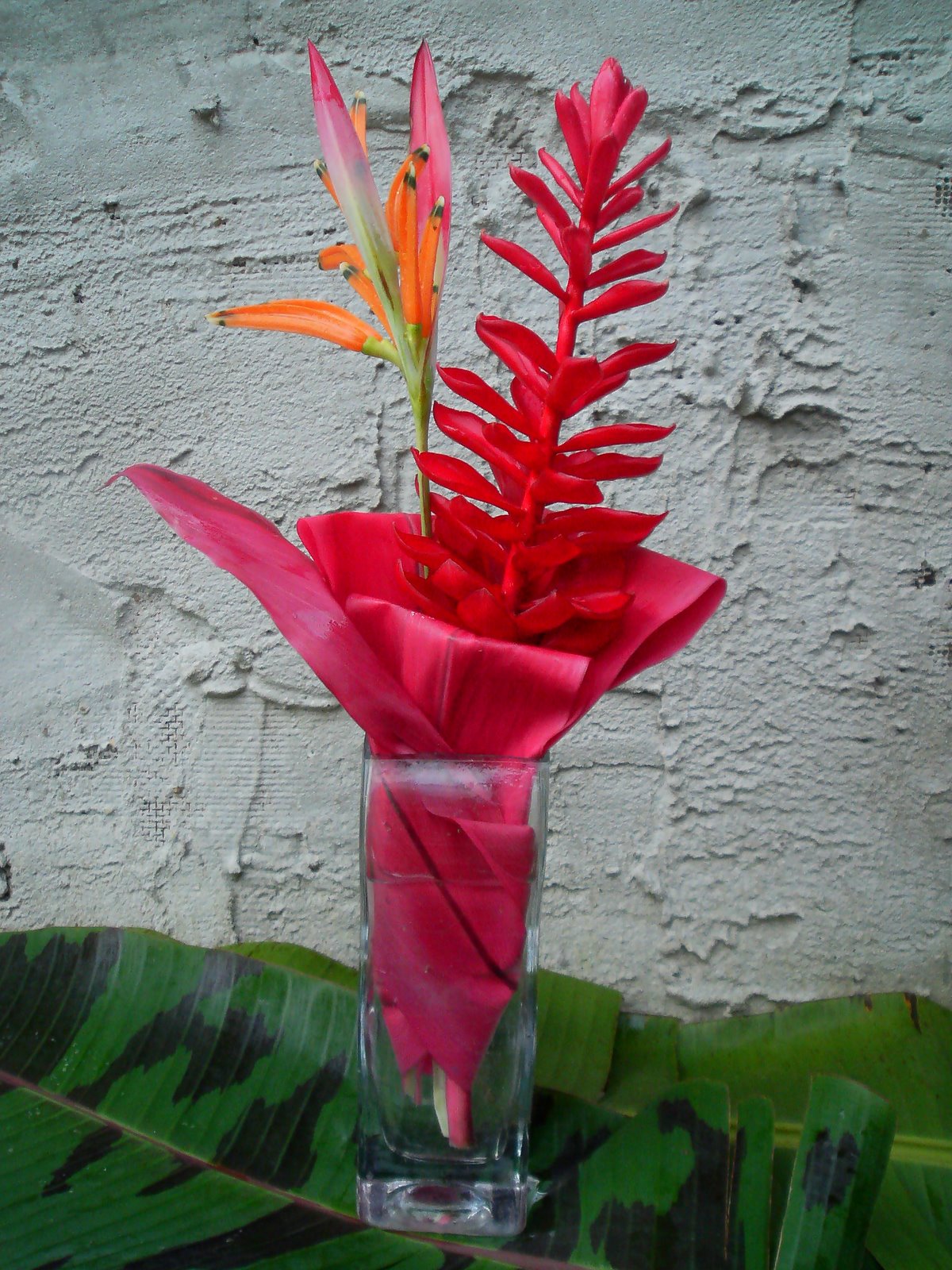 [1mac,red+ginger,red+ti+&+heliconia.jpg]