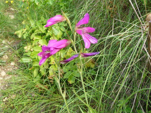 [GetAttachment3.jpg]