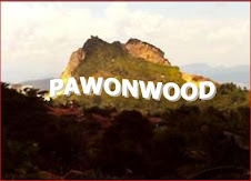 PAWONWOOD
