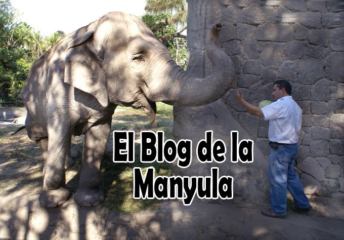 El Blog de la Manyula