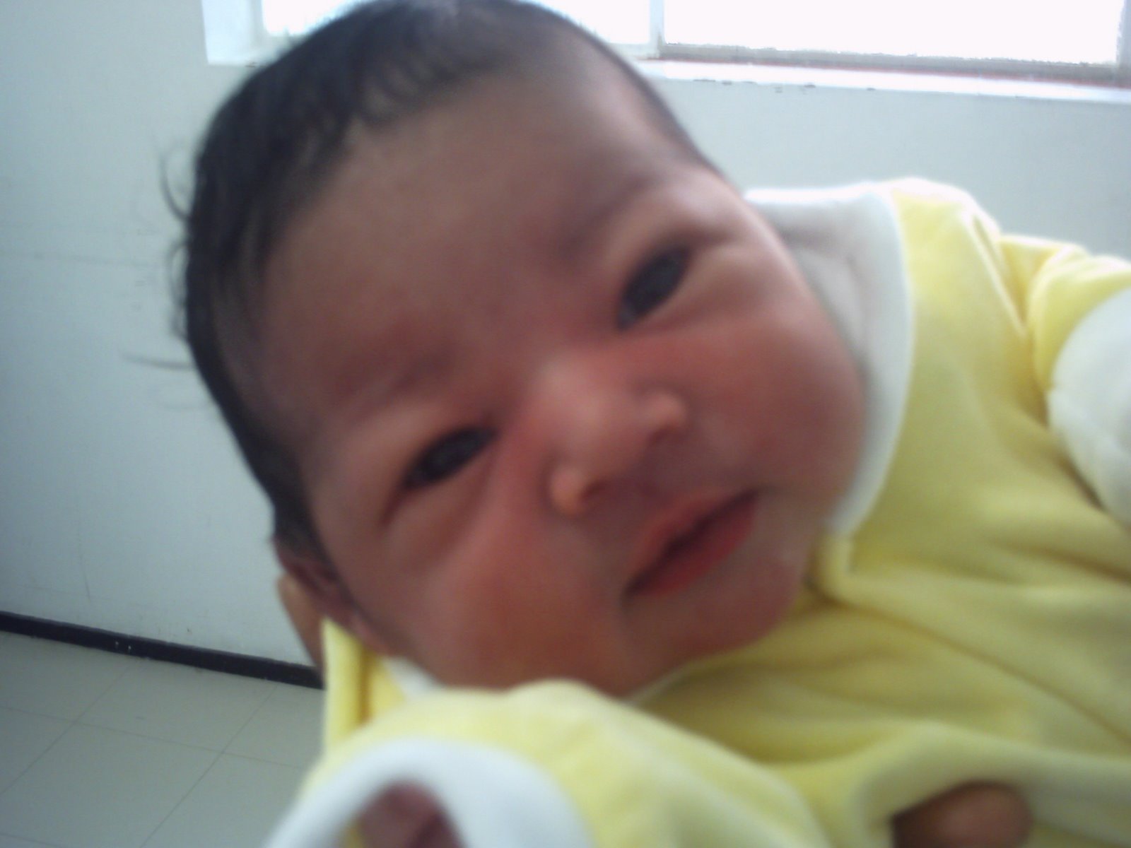 [pict0031.jpg]