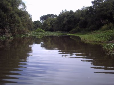 [pict0005.jpg]