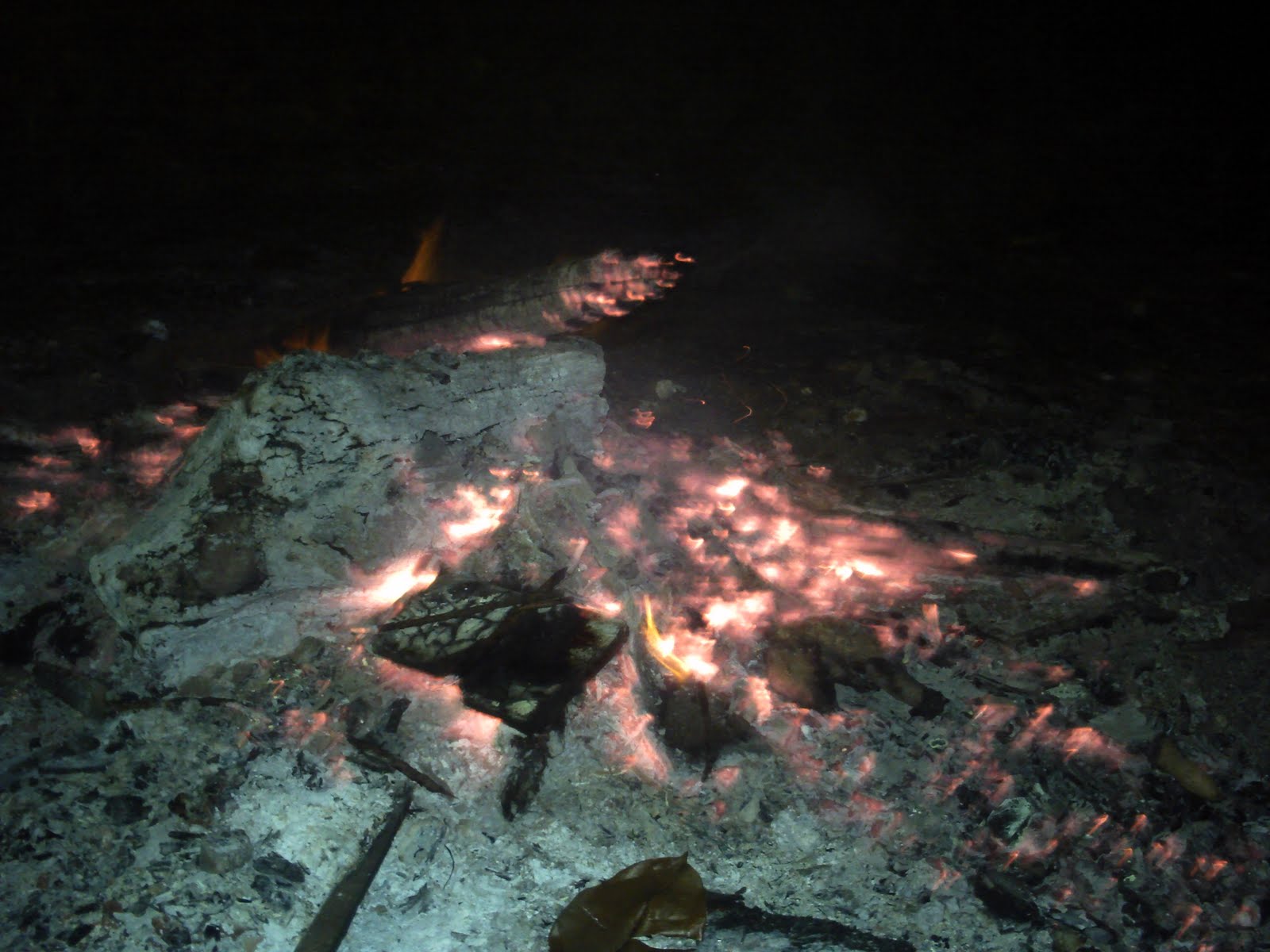 [pict0176.jpg]