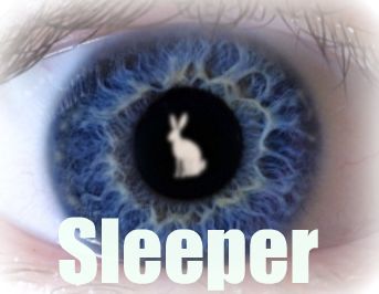 Sleeper Webseries