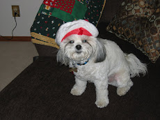 Ready for Christmas