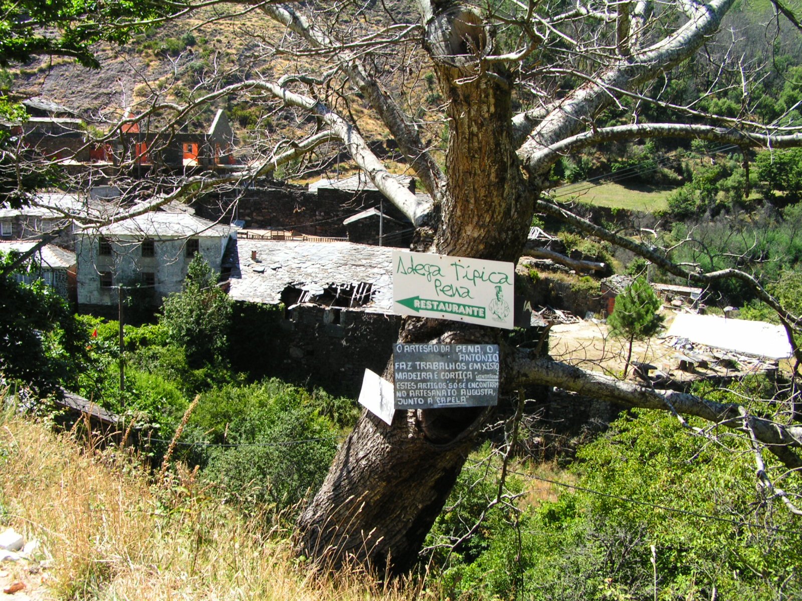 [2007_0802_151938AA.JPG]