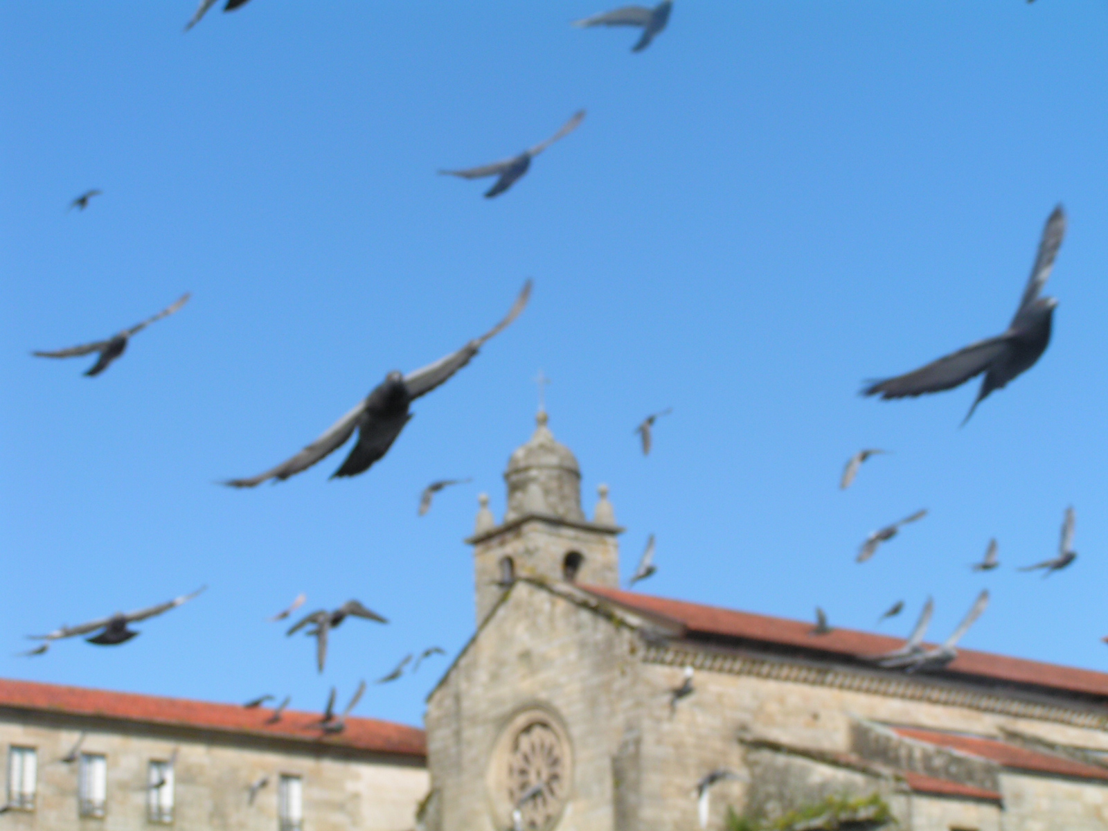 [2009_0501_174720.JPG]