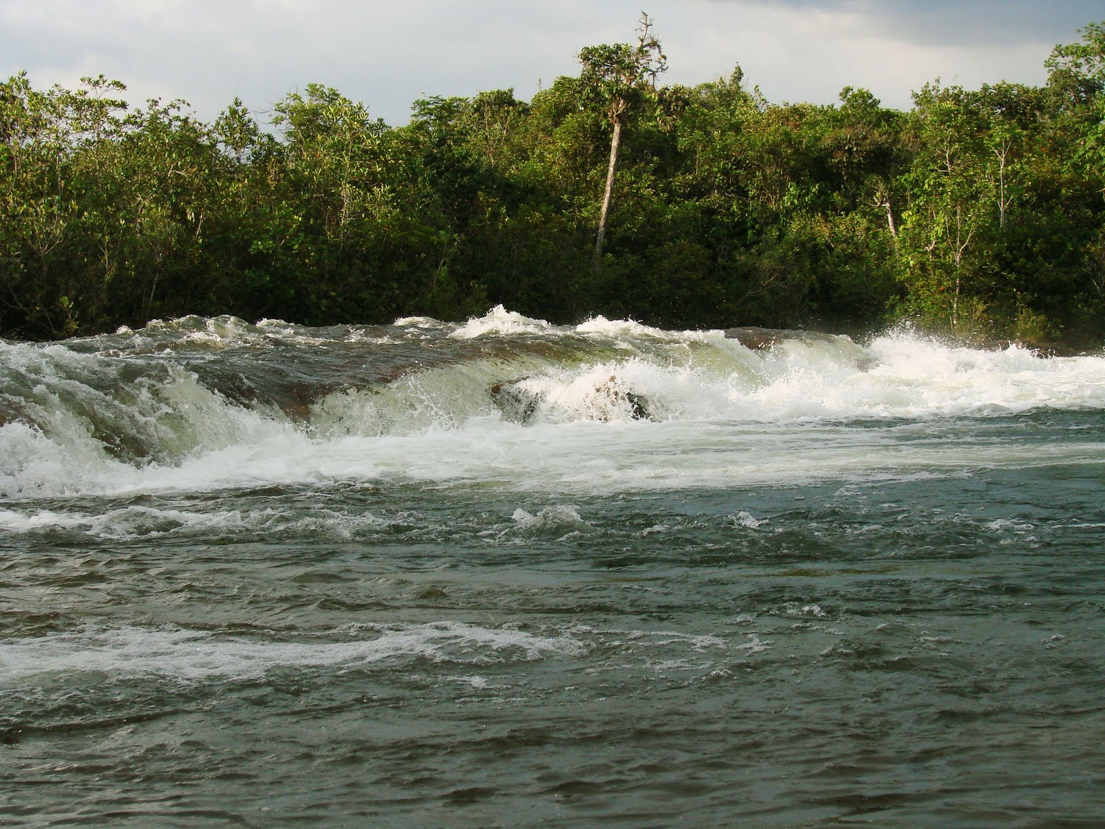 Expedição à Bacia do Rio Verde Nature