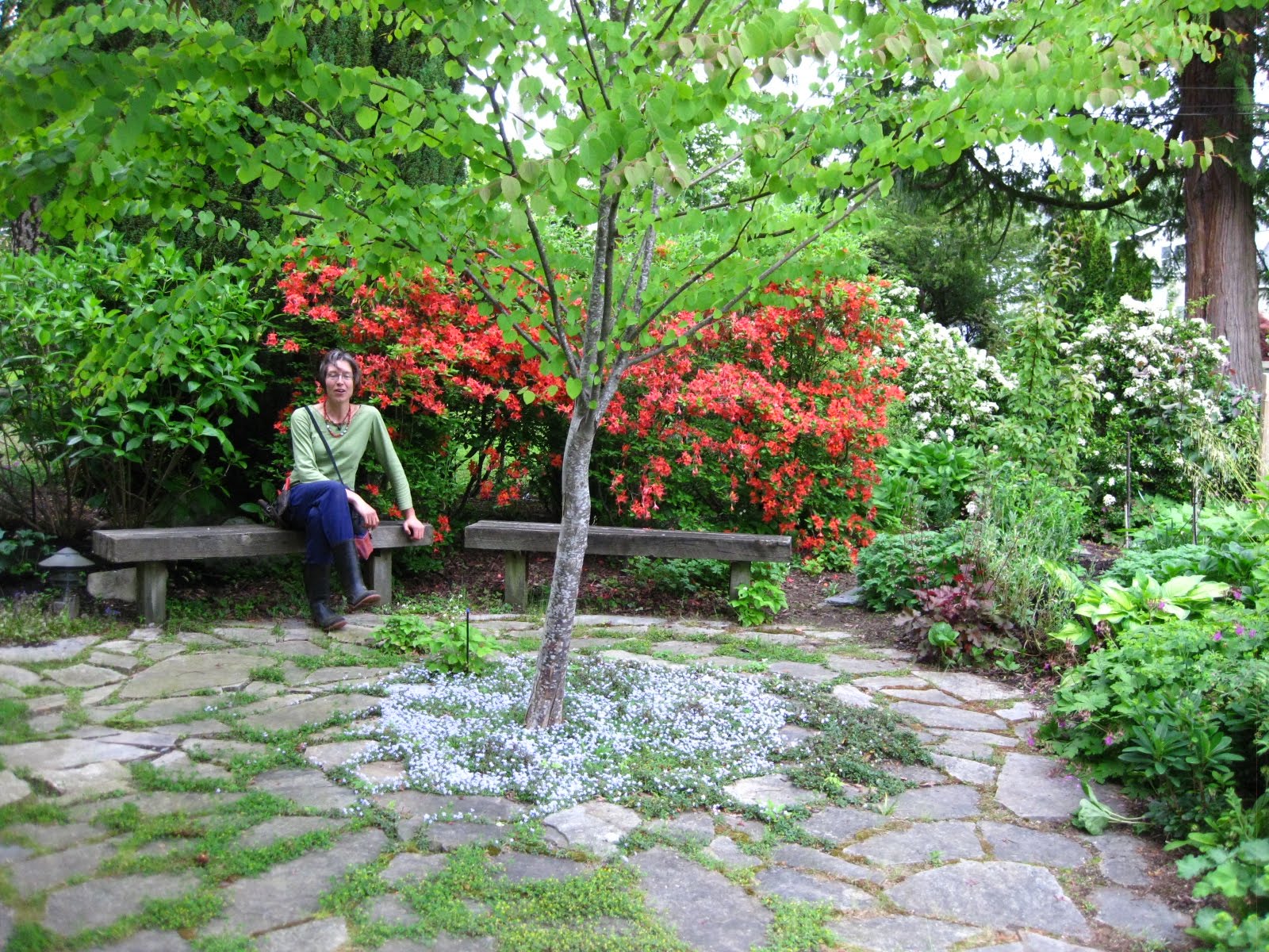 The BicycleGardening Chronicles... Flagstone around Tree
