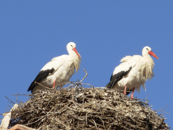 Todos esos momentos producen un cansancio agotador