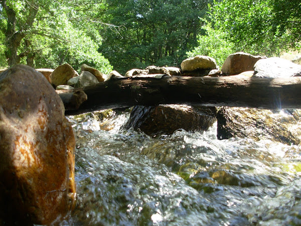 Rio Bornoba (Guadalara)