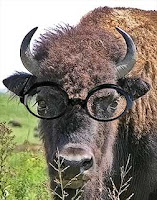 Buffalo Nerd with large glasses