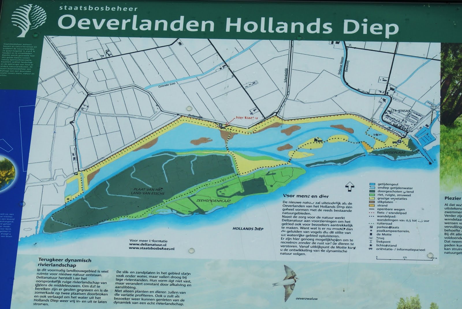 AMSTERDAMSE WATERLEIDINGDUINEN AWD: Hoeksche Waard