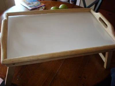 Goodwill tray for pet food