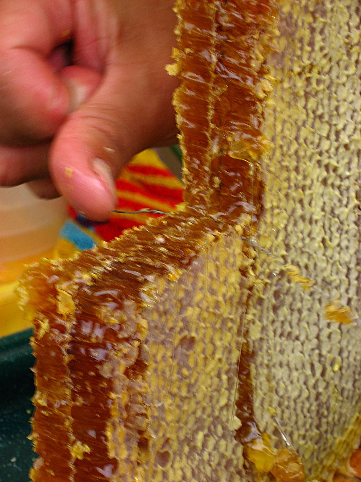 Moscow Daily Photo Cutting