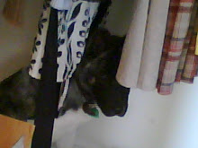 Someone is looking guilty....