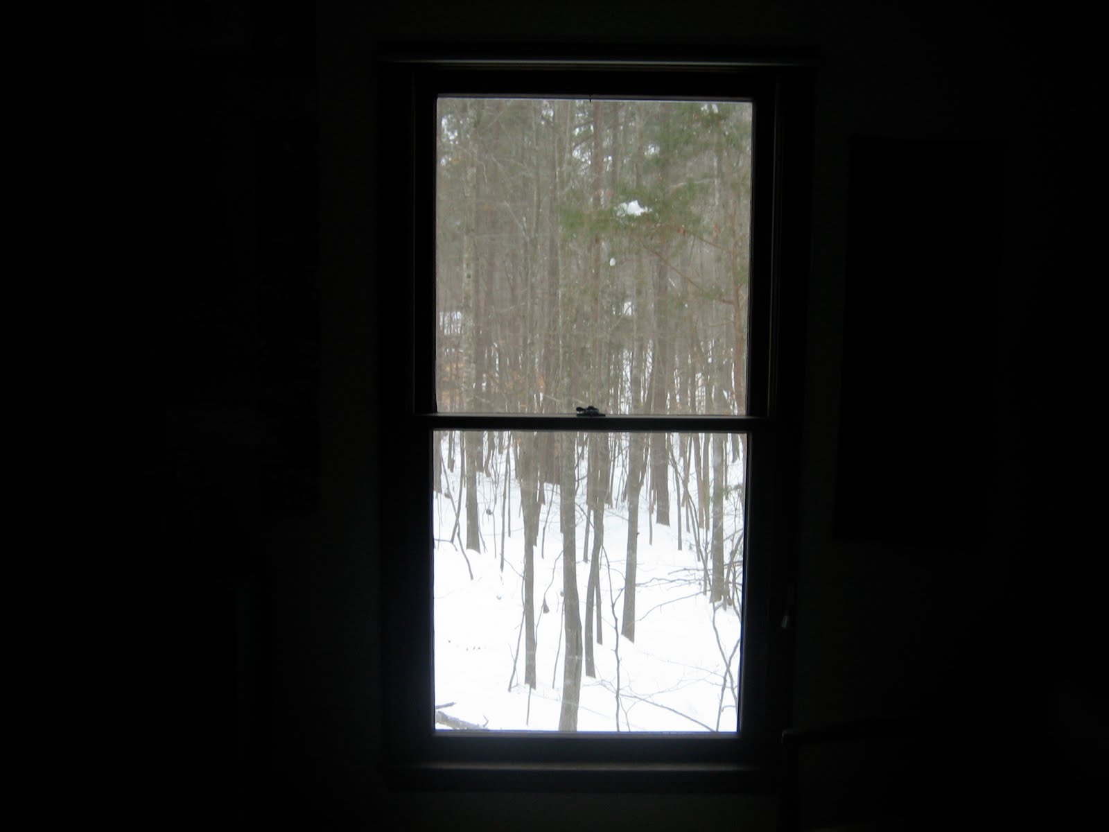 [IMG_5523.JPG]