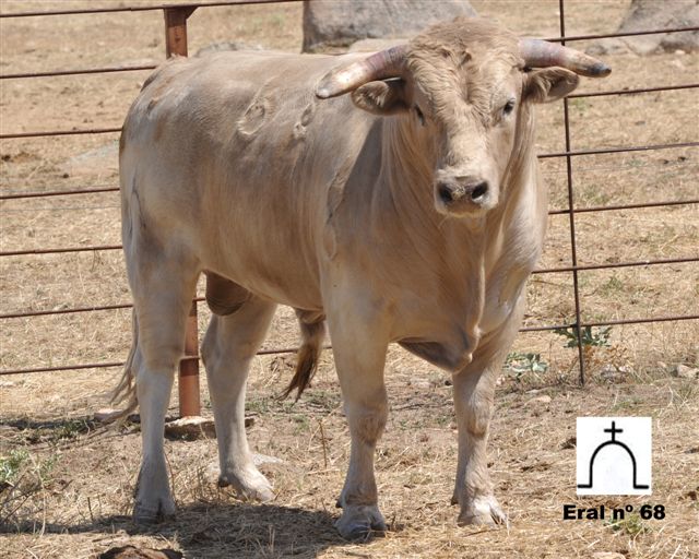 ESPAI TAURÍ Tendilla (Guadalajara)