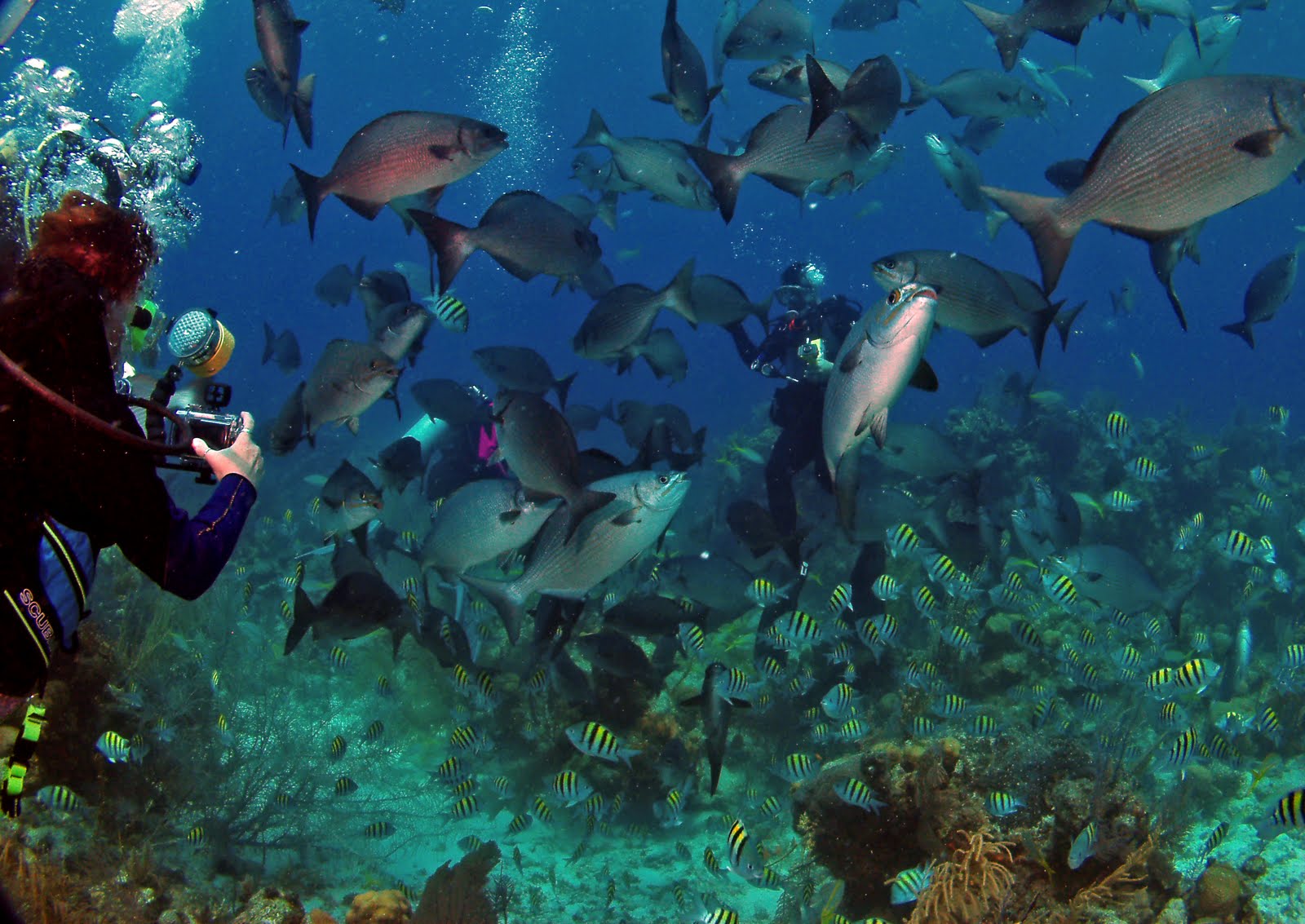 Belize Honeymoons, Scuba Diving Vacations and Adventure Travel Blog