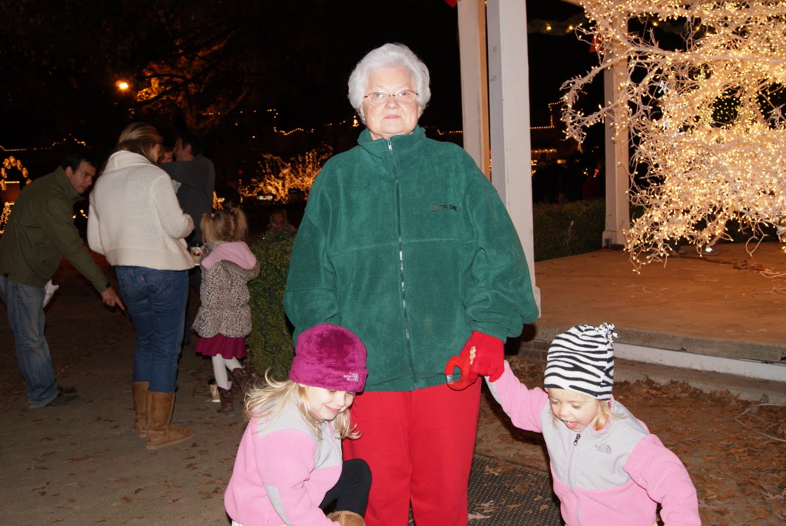 the-moore-family-canton-lights