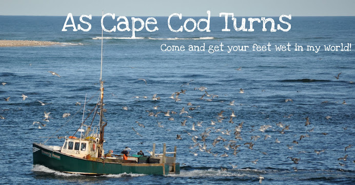 As Cape Cod Turns