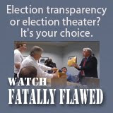 Fatally Flawed:  The Pursuit of Justice in a Suspicious Election