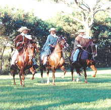 ¡¡¡NUESTROS CABALLOS DE PASO  PERUANO !!!