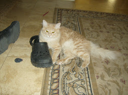 I like dad's crocks