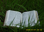 Read your Bible and Pray everyday, pray everyday, pray everyday!!