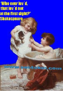 Vai  dar banho ao cão!