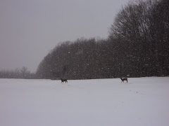 eastern townships...the other side