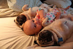 Baby With Dogs