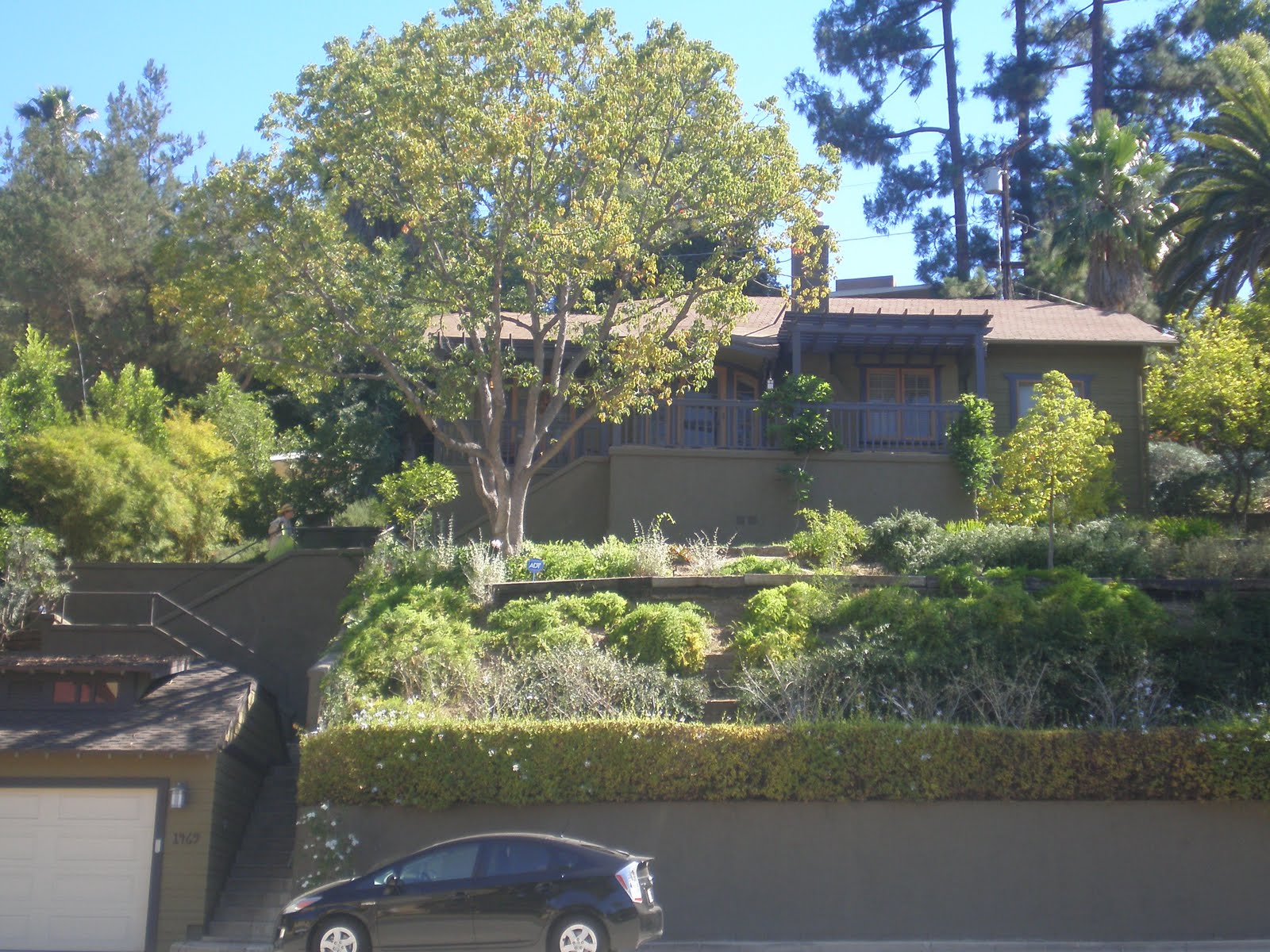 Climbing LA Walk 1 Pasadena La Loma Road