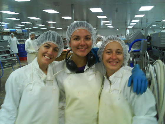 Las chicas que destripaban pescados conmigo en la fish factory