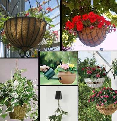 Jardinería&Paisajismo: Macetas Colgantes